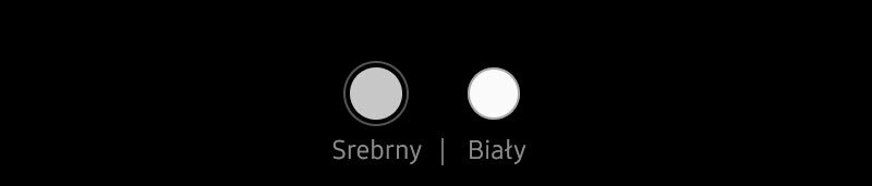 Obraz przedstawia dwa okrągłe symbole na czarnym tle, jeden srebrny z napisem \'Srebrny\', drugi biały z napisem \'Biały\'.