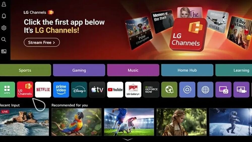 LG 43QNED80B6A LG Channels VOD live TV, kadr z lg Channels
