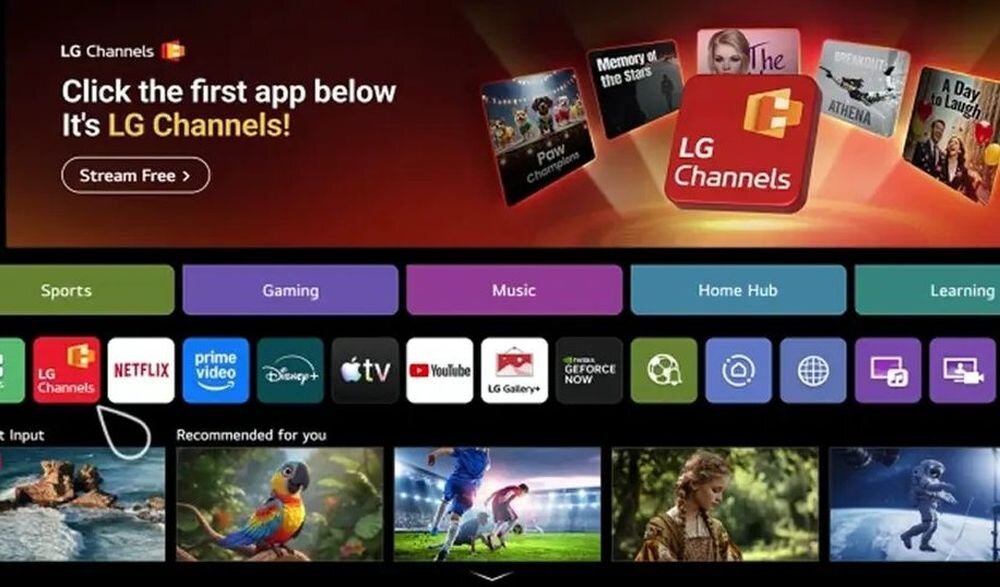 LG 55QNED7EB3C LG Channels VOD live TV streaming kanały, kadr z lg Channels