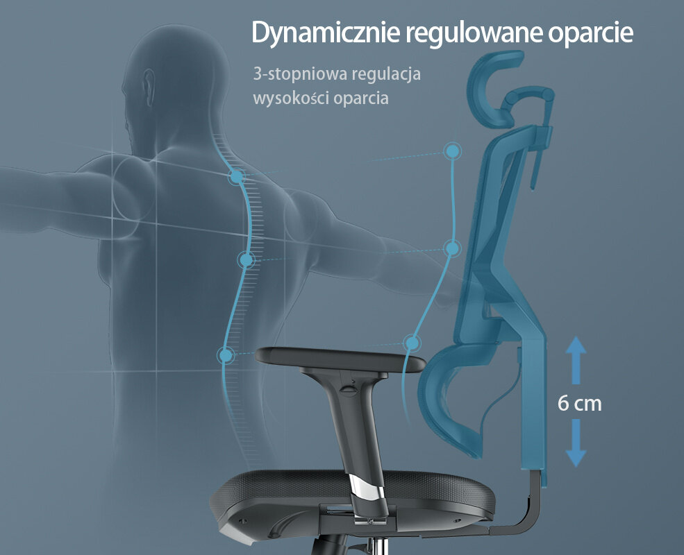 Obraz przedstawia ergonomiczny fotel biurowy z dynamicznie regulowanym oparciem, które można dostosować w trzech stopniach na wysokość 6 cm. Na tle widać sylwetkę człowieka z zaznaczonym kręgosłupem, a tekst na obrazie brzmi: \'Dynamicznie regulowane oparcie, 3-stopniowa regulacja wysokości oparcia\'.
