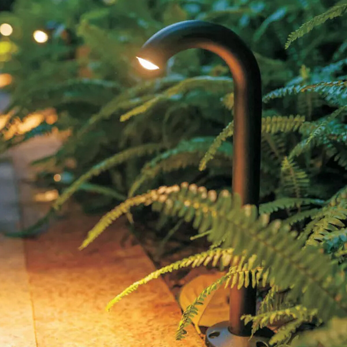 Czarna zewnętrzna lampa LED o zakrzywionym kształcie oświetla otoczenie wśród zielonych roślin. Lampa jest zamontowana na podłożu z płytkami.