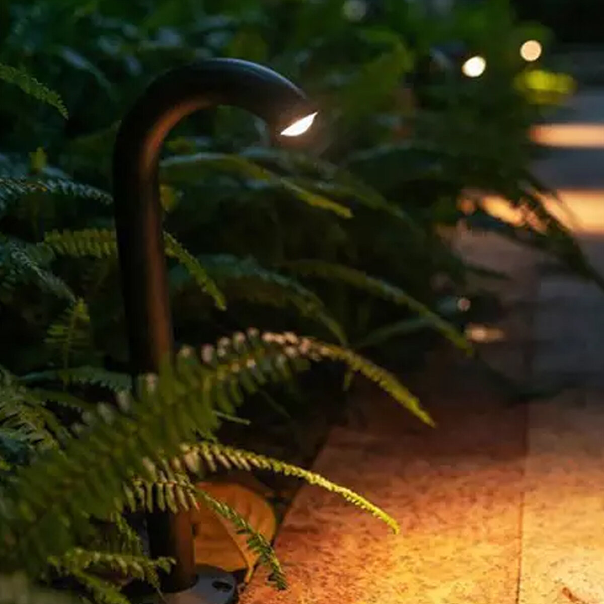 Na obrazie widoczna jest zewnętrzna lampa LED o zakrzywionym kształcie, oświetlająca otoczenie wśród zielonych roślin. Światło lampy pada na kamienną ścieżkę, tworząc ciepłą atmosferę.