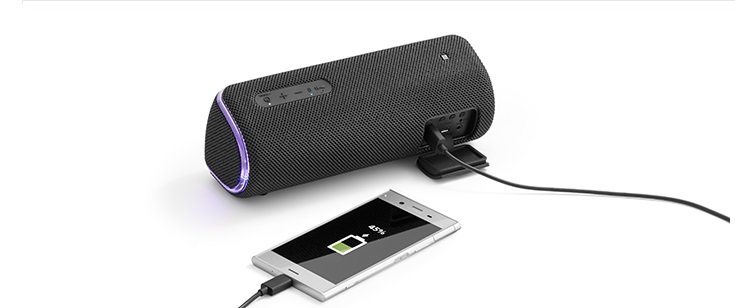 Głośnik mobilny SONY SRS-XB31 - bateria