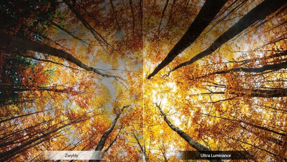 Telewizor LG LED UK7550  - jasność