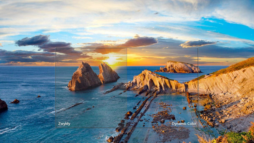 Telewizor LG LK6100PLB  - Dynamic color