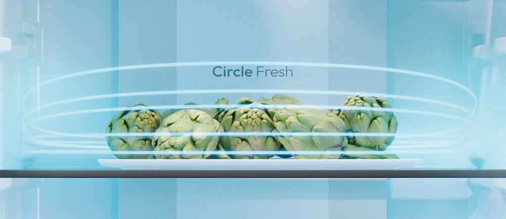Na półce lodówki znajdują się karczochy, a nad nimi widoczny jest napis \'Circle Fresh\'.