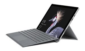 Laptop z odłączaną klawiaturą, wyświetlający obraz ptaka na ekranie. Urządzenie jest w kolorze szarym i stoi na podpórce.