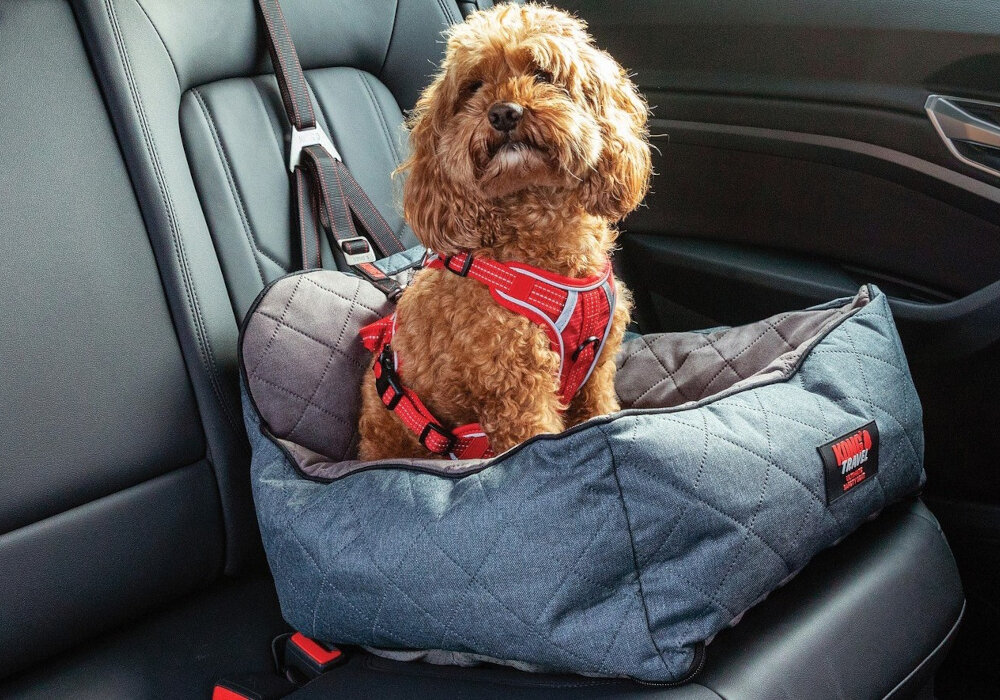 Transporter samochodowy KONG 10760 Travel Ultimate Safety Seat Niebiesko-szary