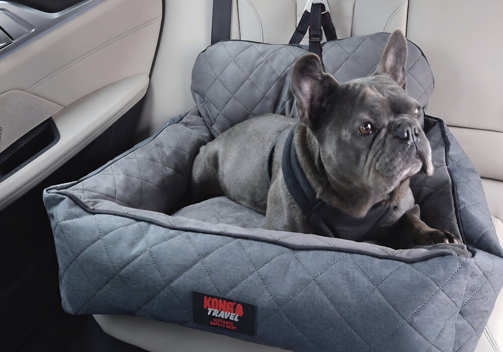 Transporter KONG Ultimate Safety Seat & Tether M Niebiesko-szary