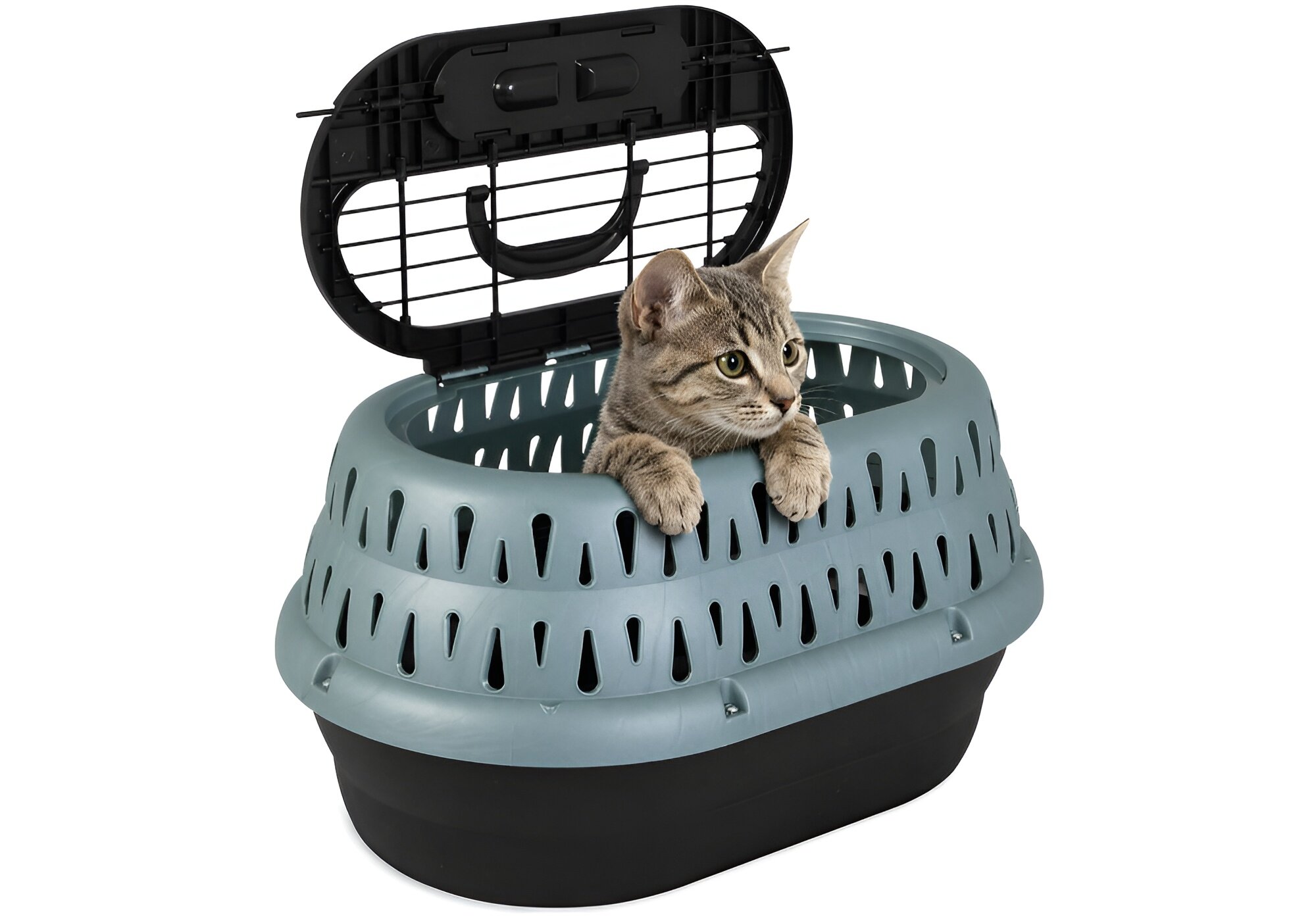 Transporter PETMATE PETM41454 Top Load Cat Kennel Pearl Zielono-czarny