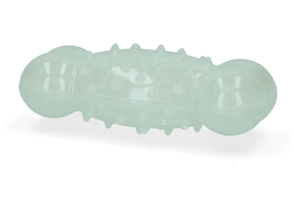 Zabawka 2 GLOW Cracking & Tracking Bone fluorescencyjna kość widoczna na białym tle pochłania światło aportowanie niezależnie od pory kształcie kości z wypustkami na powierzchni