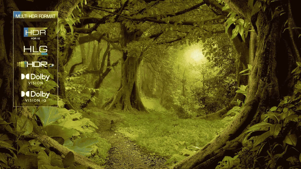 Obraz przedstawia gęsty las z dużymi drzewami i ścieżką prowadzącą w głąb. Po lewej stronie widoczny jest tekst: \'MULTI HDR FORMAT, HDR HDR 10, HLG, HDR 10+, Dolby VISION, Dolby VISION IQ\'.