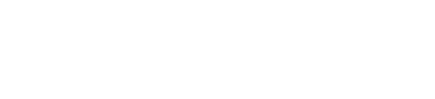 500 ppi