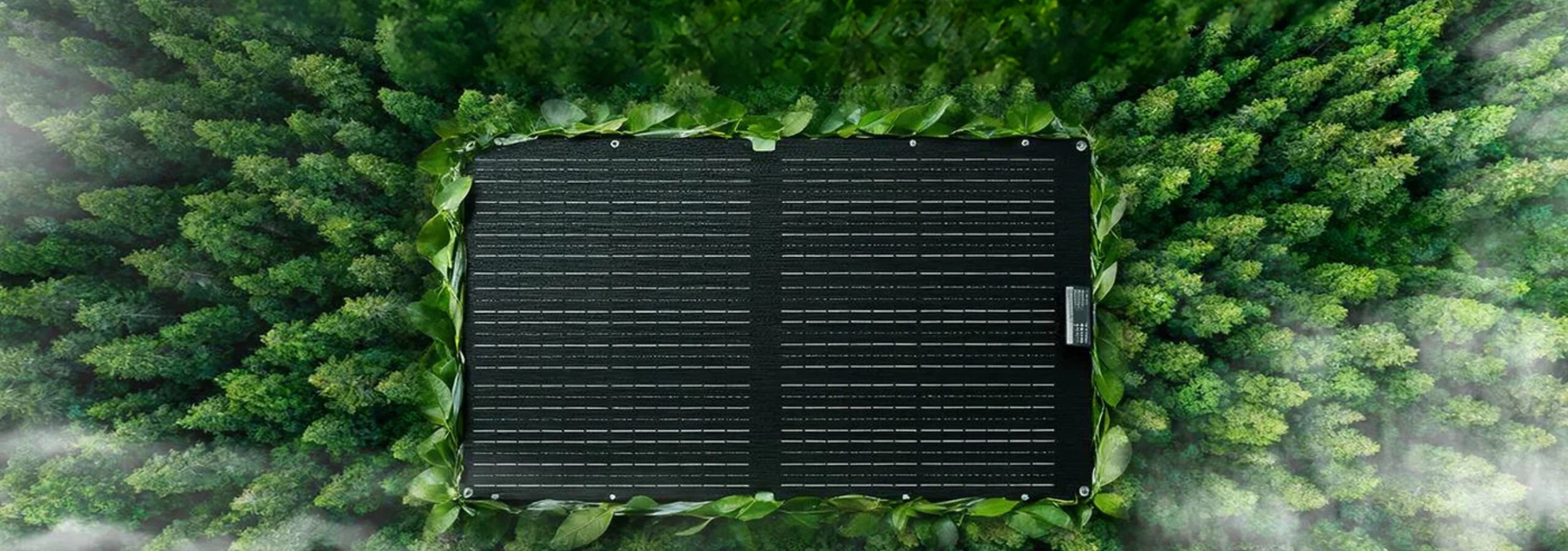 Czarny, składany panel solarny otoczony zielonymi liśćmi, umieszczony na tle lasu z widocznymi drzewami.
