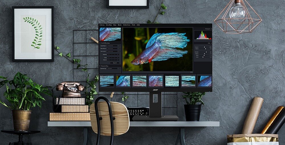 Monitor ACER B247Y oczy