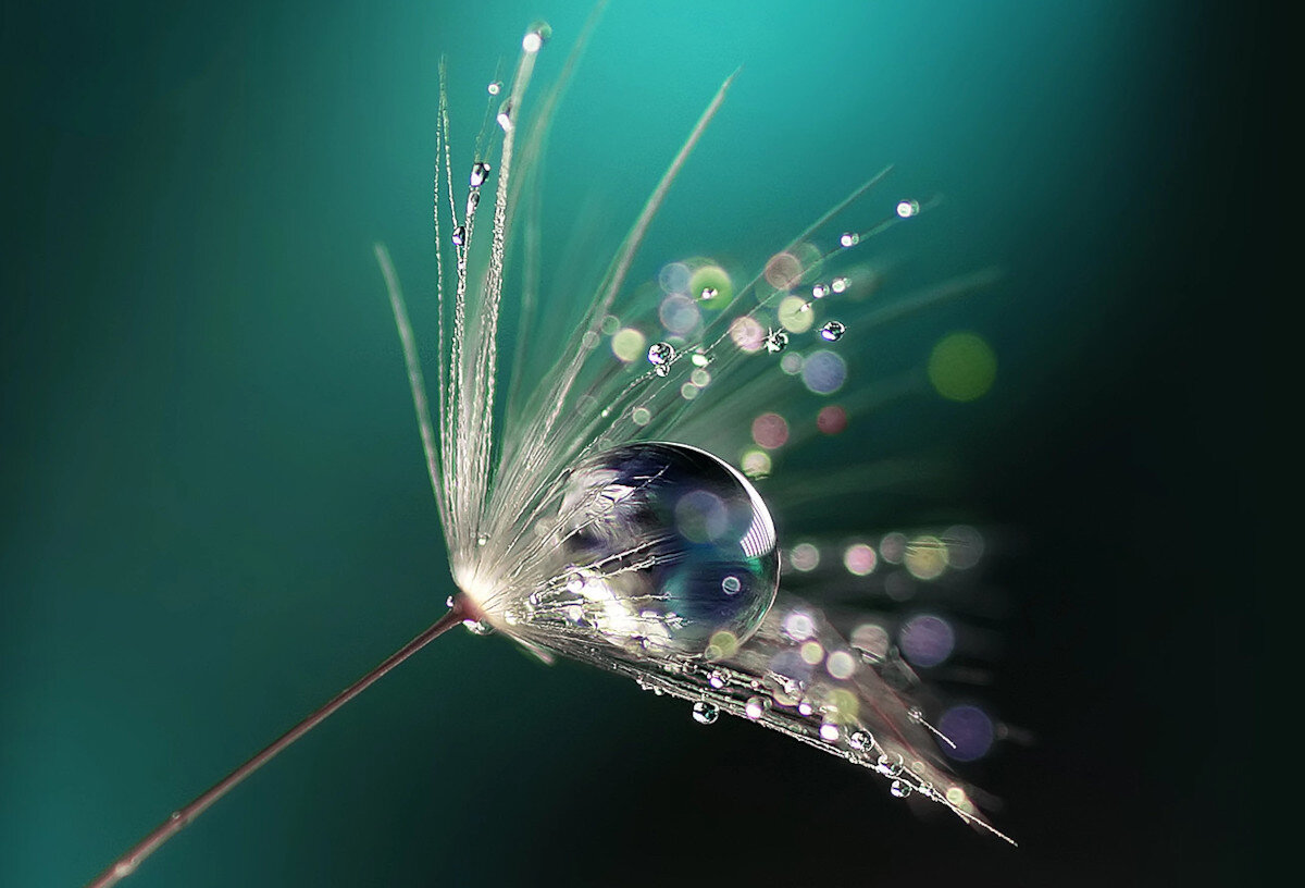 Projektor ACER P6200 obraz rozdzielczość jasność