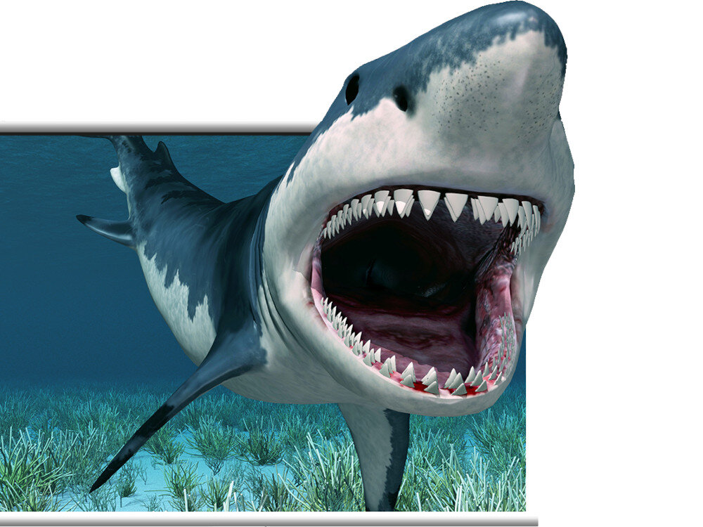 Projektor ACER P5330W technologie wyświetlanie 3D funkcje