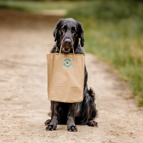 Czarny pies siedzi na ścieżce, trzymając w pysku papierową torbę z logo Paul & Paulina.