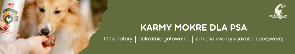 Pies je karmę z ręki osoby, obok widoczna jest puszka z karmą. Na zielonym tle napis: \'KARMY MOKRE DLA PSA 100% natury | delikatnie gotowane | z mięsa i warzyw jakości spożywczej\'.