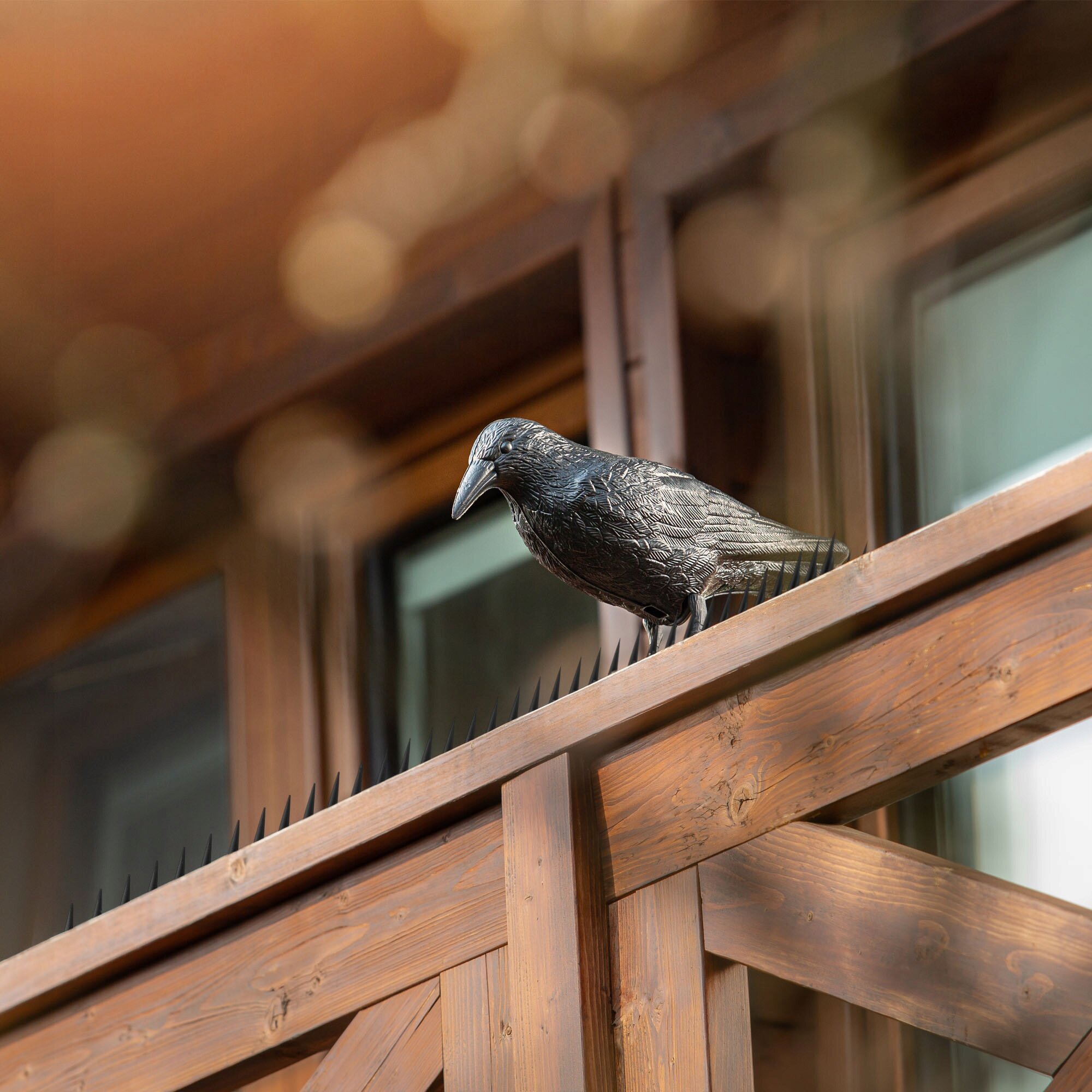 Na drewnianej balustradzie znajduje się figurka kruka oraz rząd gęstych kolców. W tle widoczne są okna budynku.