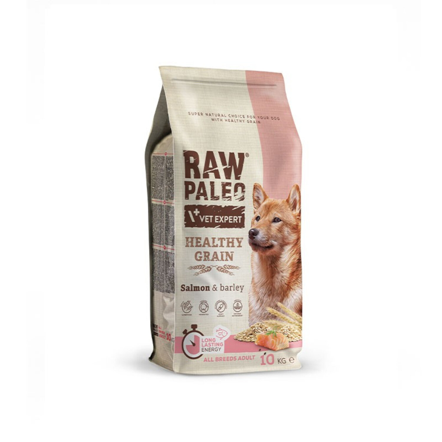 Opakowanie suchej karmy dla psów z wizerunkiem psa i napisami: \'RAW PALEO VET EXPERT HEALTHY GRAIN Salmon & barley\'.