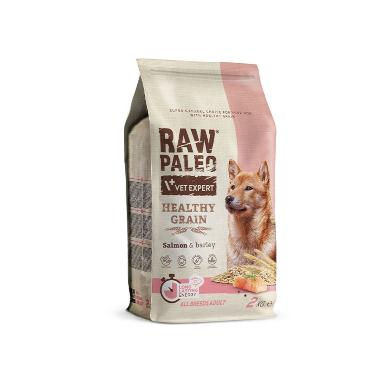 Opakowanie suchej karmy dla psów z napisem \'RAW PALEO VET EXPERT HEALTHY GRAIN Salmon & barley\'. Widoczny jest wizerunek psa oraz ikony symbolizujące cechy produktu.