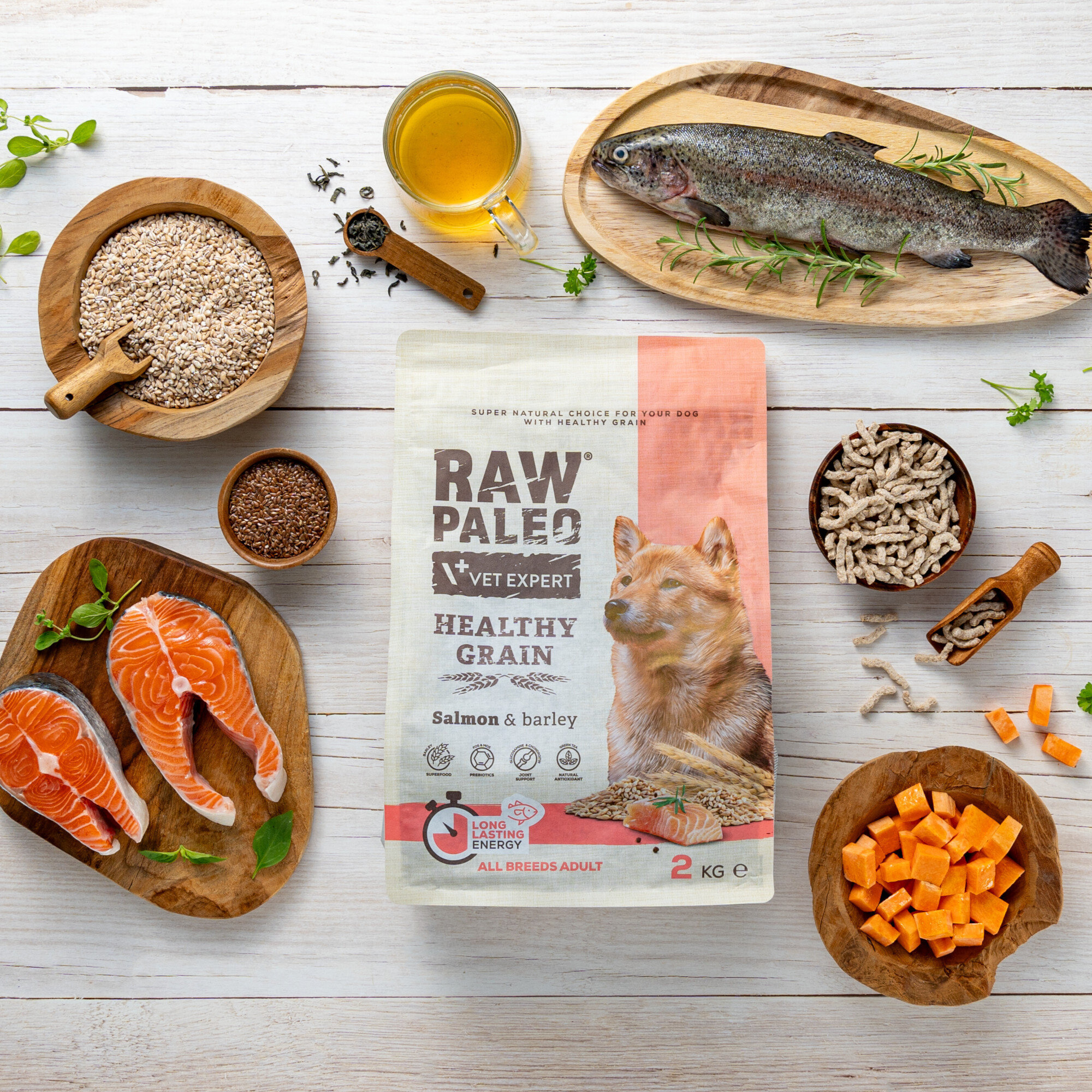 Na obrazie znajduje się opakowanie karmy dla psów \'RAW PALEO VET EXPERT HEALTHY GRAIN Salmon & barley\' o wadze 2 kg, otoczone składnikami takimi jak łosoś, ziarna i warzywa. Widoczne są również miski z różnymi składnikami oraz szklanka z płynem.
