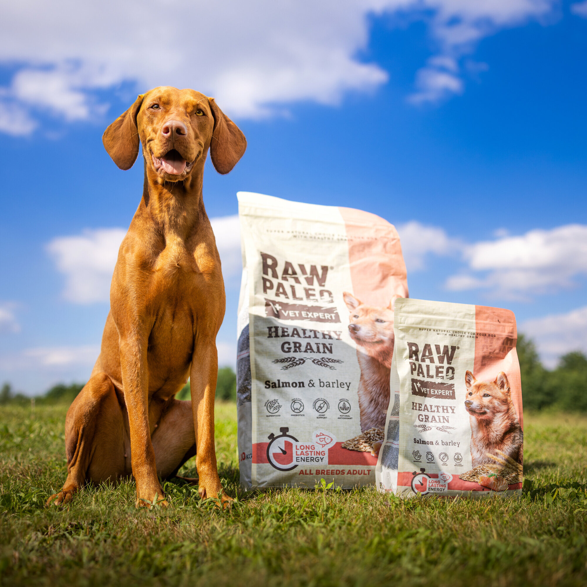 Na trawie siedzi pies obok dwóch worków karmy RAW PALEO VET EXPERT HEALTHY GRAIN z łososiem i jęczmieniem. Na opakowaniach widnieje napis \'LONG LASTING ENERGY ALL BREEDS ADULT\'.