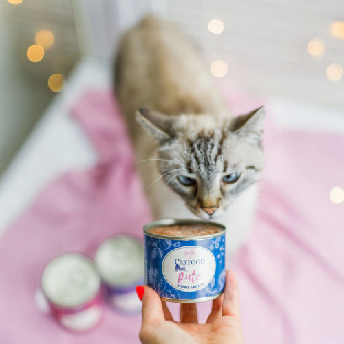 Na obrazie widać kota stojącego na różowym kocu, przed którym trzymana jest puszka z karmą dla kota z napisem \'Catfood Pure\'. W tle znajdują się dwie inne puszki karmy.