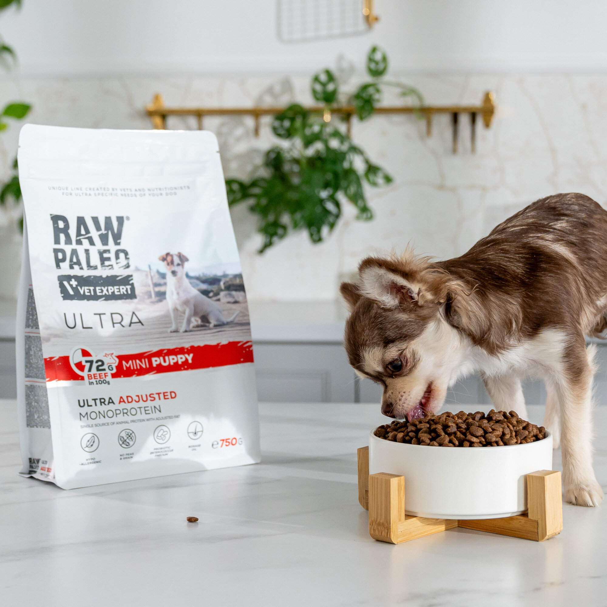 Na blacie stoi opakowanie karmy RAW PALEO ULTRA dla szczeniąt, obok którego pies je z miski wypełnionej karmą. W tle widoczna jest zielona roślina na białej ścianie.