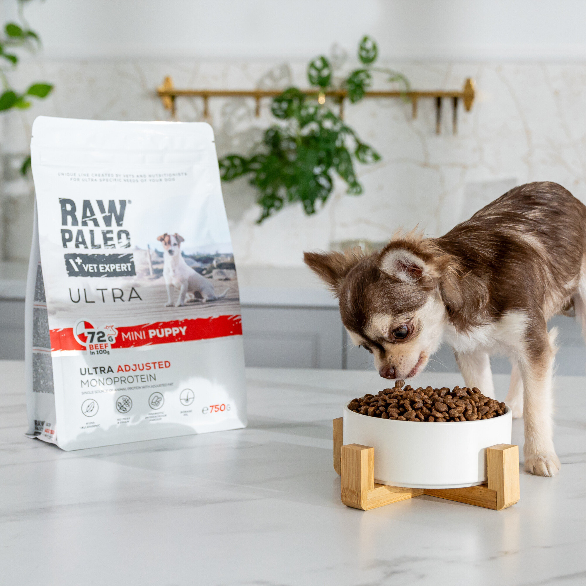 Na blacie stoi opakowanie karmy \'RAW PALEO VET EXPERT ULTRA MINI PUPPY\' oraz miska z karmą, z której je mały piesek. W tle widoczna jest zielona roślina na białej ścianie.