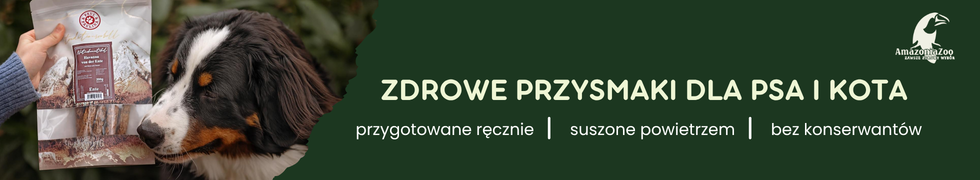 Osoba trzyma opakowanie suszonych szprotek, obok pies. Tekst: \'ZDROWE PRZYSMAKI DLA PSA I KOTA przygotowane ręcznie | suszone powietrzem | bez konserwantów\'.