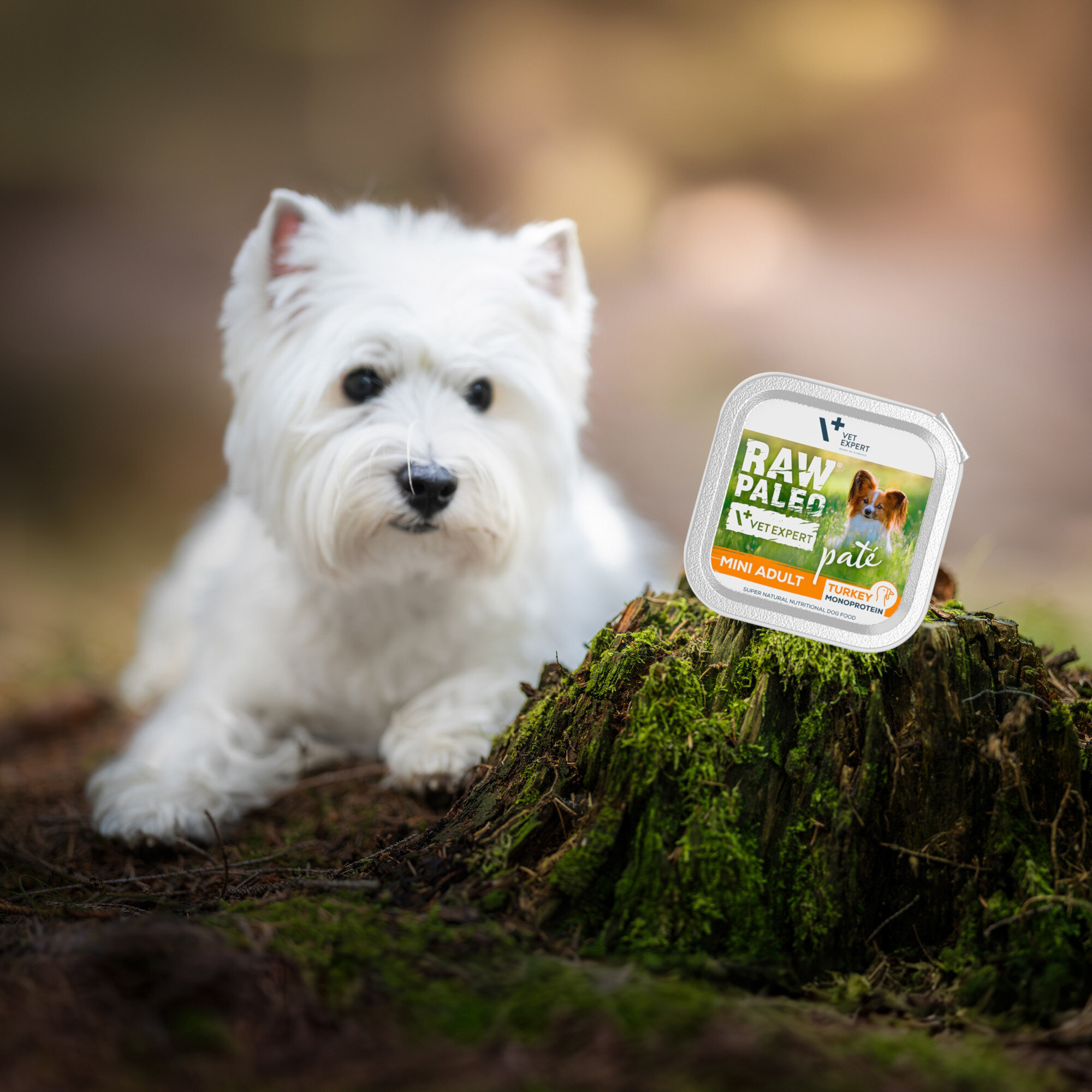 Na obrazie widoczny jest biały pies siedzący na tle lasu. Obok niego znajduje się opakowanie produktu z napisem \'RAW PALEO VET EXPERT pate MINI ADULT TURKEY\'.