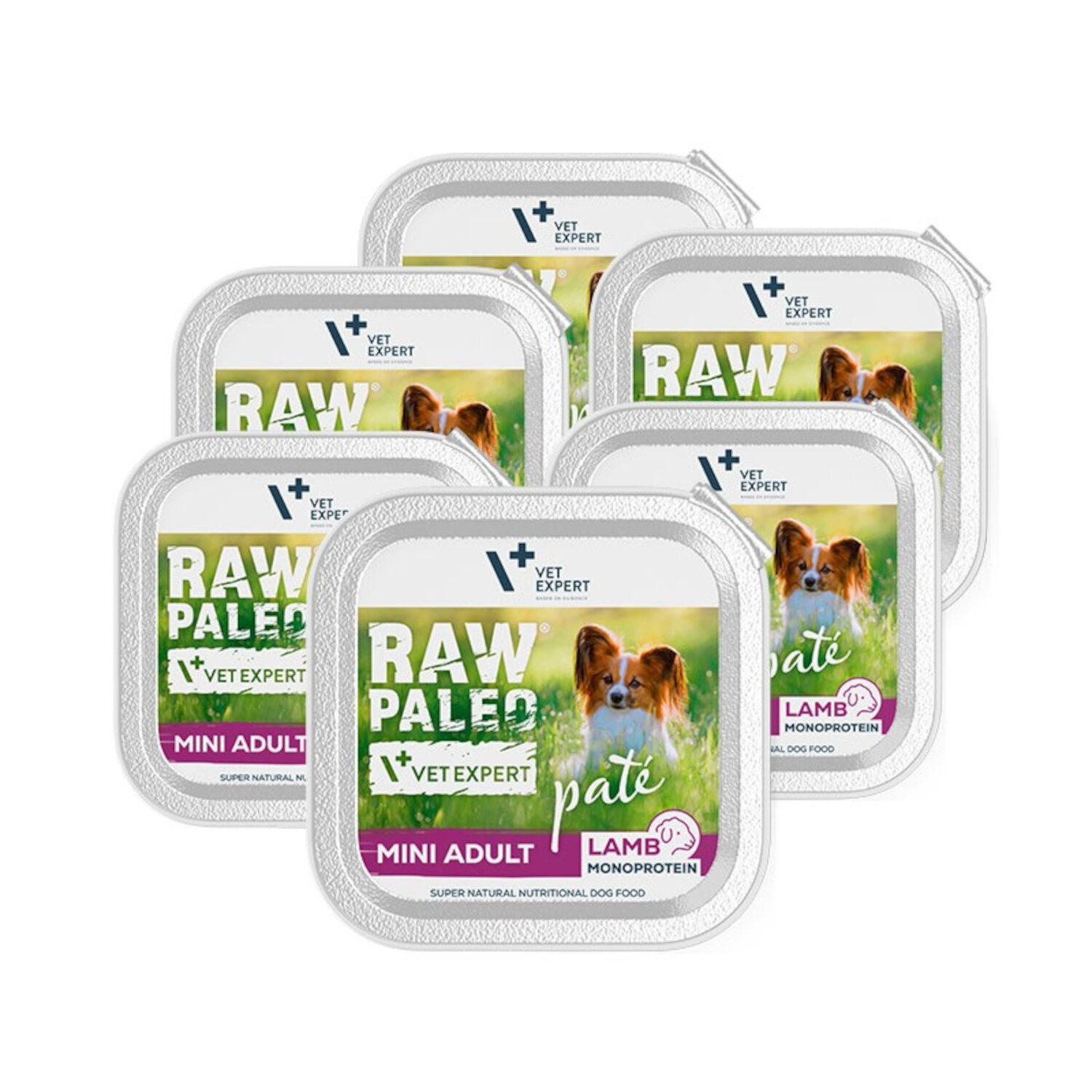 Na obrazie widoczne są sześć opakowań mokrej karmy dla psów z napisem \'RAW PALEO MINI ADULT LAMB MONOPROTEIN\'. Na każdym opakowaniu znajduje się logo \'VET EXPERT\' oraz zdjęcie psa na tle trawy.