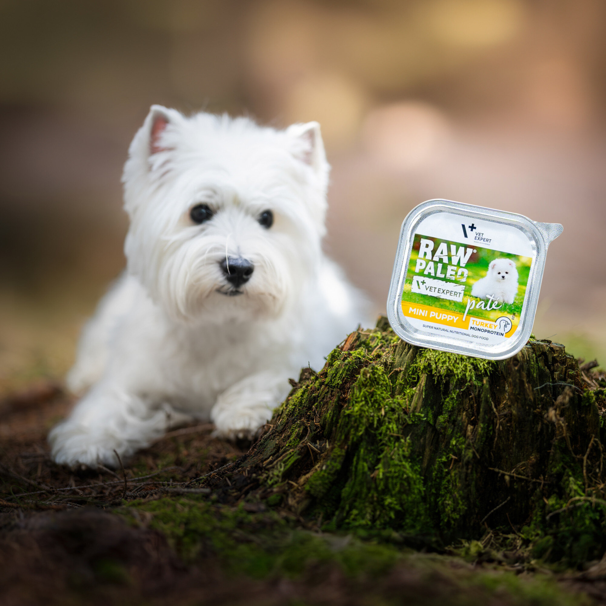 Na obrazie widoczny jest biały pies leżący obok opakowania karmy RAW PALEO MINI PUPPY TURKEY umieszczonego na pniu pokrytym mchem. Opakowanie zawiera zdjęcie psa i logo VET EXPERT.