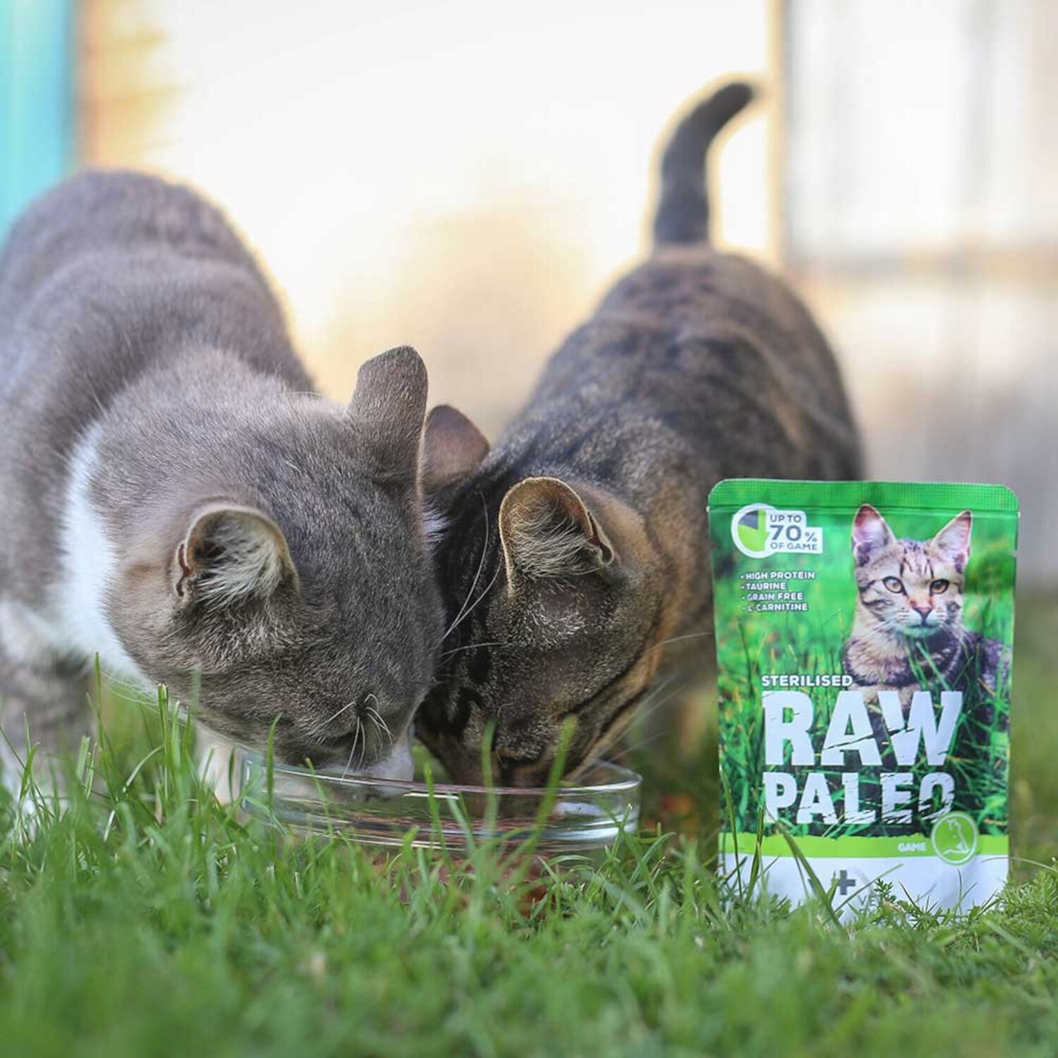 Dwa koty jedzą z miski na trawie, obok stoi opakowanie karmy z napisem \'STERILISED RAW PALEO\'.