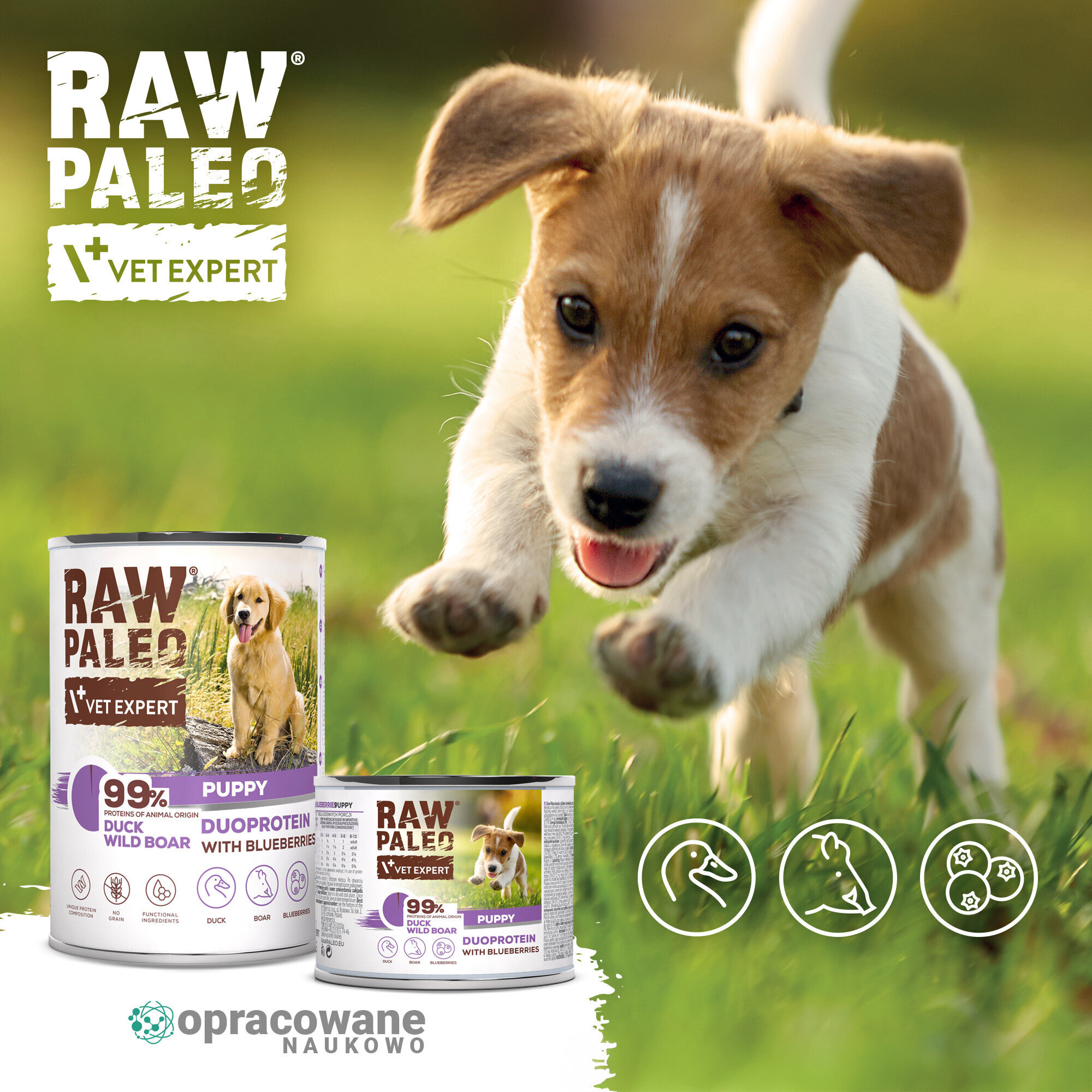 Na obrazie widoczna jest puszka karmy dla szczeniąt z napisem \'RAW PALEO VET EXPERT 99% DUCK WILD BOAR PUPPY DUOPROTEIN WITH BLUEBERRIES\'. Obok puszki znajduje się szczeniak biegnący po trawie oraz ikony przedstawiające kaczkę, dzika i jagody.