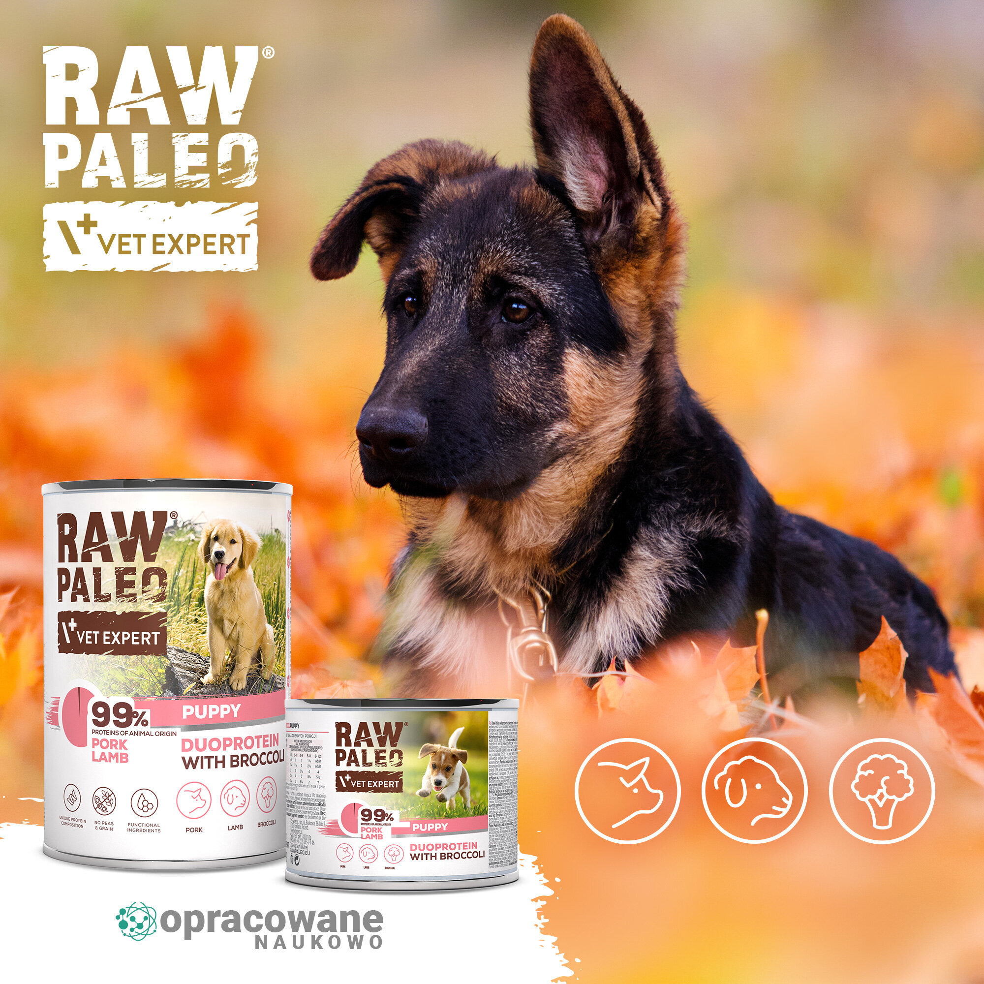 Na obrazie widoczny jest pies oraz dwie puszki karmy RAW PALEO z napisem \'99% Pork & Lamb DUOPROTEIN WITH BROCCOLI\'. W tle znajdują się jesienne liście, a na puszkach widnieje logo \'VET EXPERT\'.