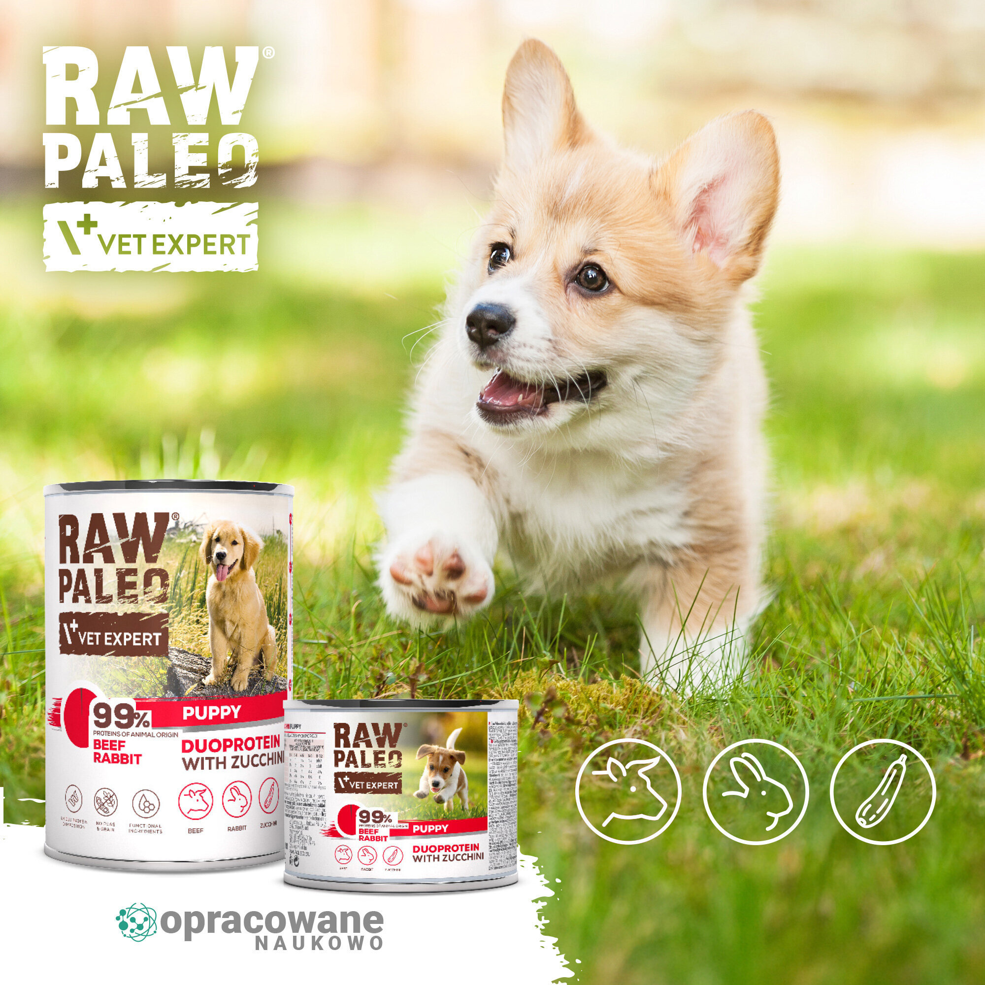 Na obrazie widoczna jest puszka karmy dla szczeniąt z napisem \'RAW PALEO VET EXPERT 99% BEEF RABBIT PUPPY DUOPROTEIN WITH ZUCCHINI\'. Obok puszki znajduje się szczeniak biegnący po trawie.