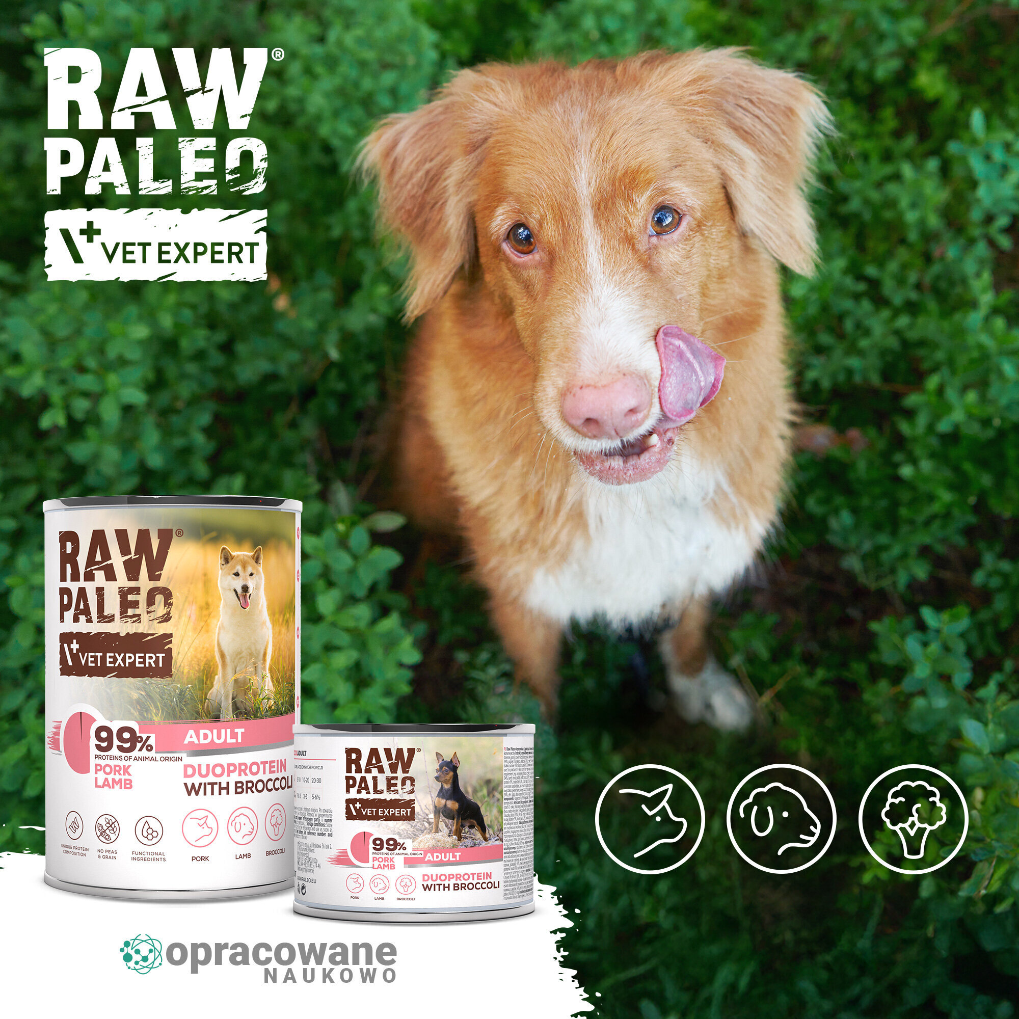 Na obrazie widoczny jest pies na tle zieleni oraz dwie puszki karmy RAW PALEO z napisem \'99% PORK LAMB DUOPROTEIN WITH BROCCOLI\'. W lewym górnym rogu znajduje się logo \'RAW PALEO VET EXPERT\', a na dole napis \'opracowane naukowo\'.