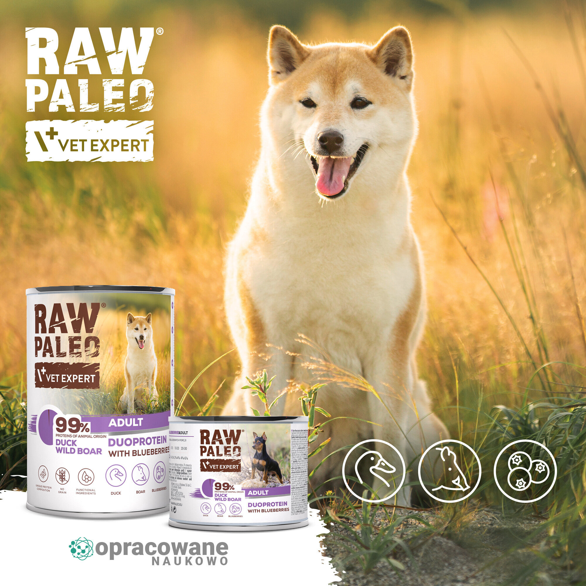 Na obrazie widoczny jest pies na tle pola oraz dwie puszki karmy RAW PALEO VET EXPERT. Na puszkach znajduje się tekst: \'99% PROTEIN OF ANIMAL ORIGIN DUCK WILD BOAR ADULT DUOPROTEIN WITH BLUEBERRIES\'.