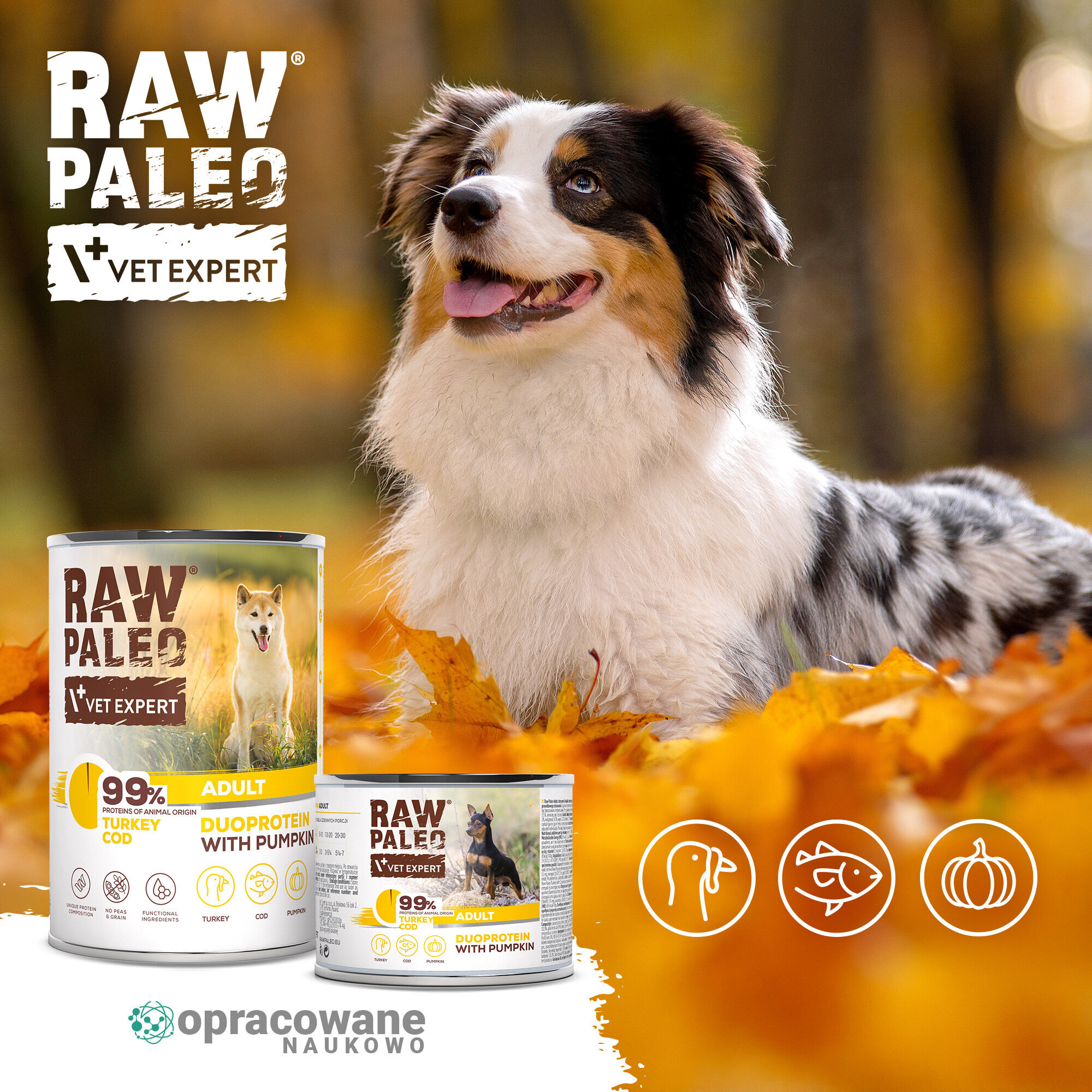 Na obrazie widoczny jest pies siedzący wśród jesiennych liści oraz puszki karmy RAW PALEO VET EXPERT z napisem \'99% TURKEY COD DUOPROTEIN WITH PUMPKIN\'. W tle znajdują się ikony przedstawiające psa, rybę i dynię oraz napis \'opracowane naukowo\'.