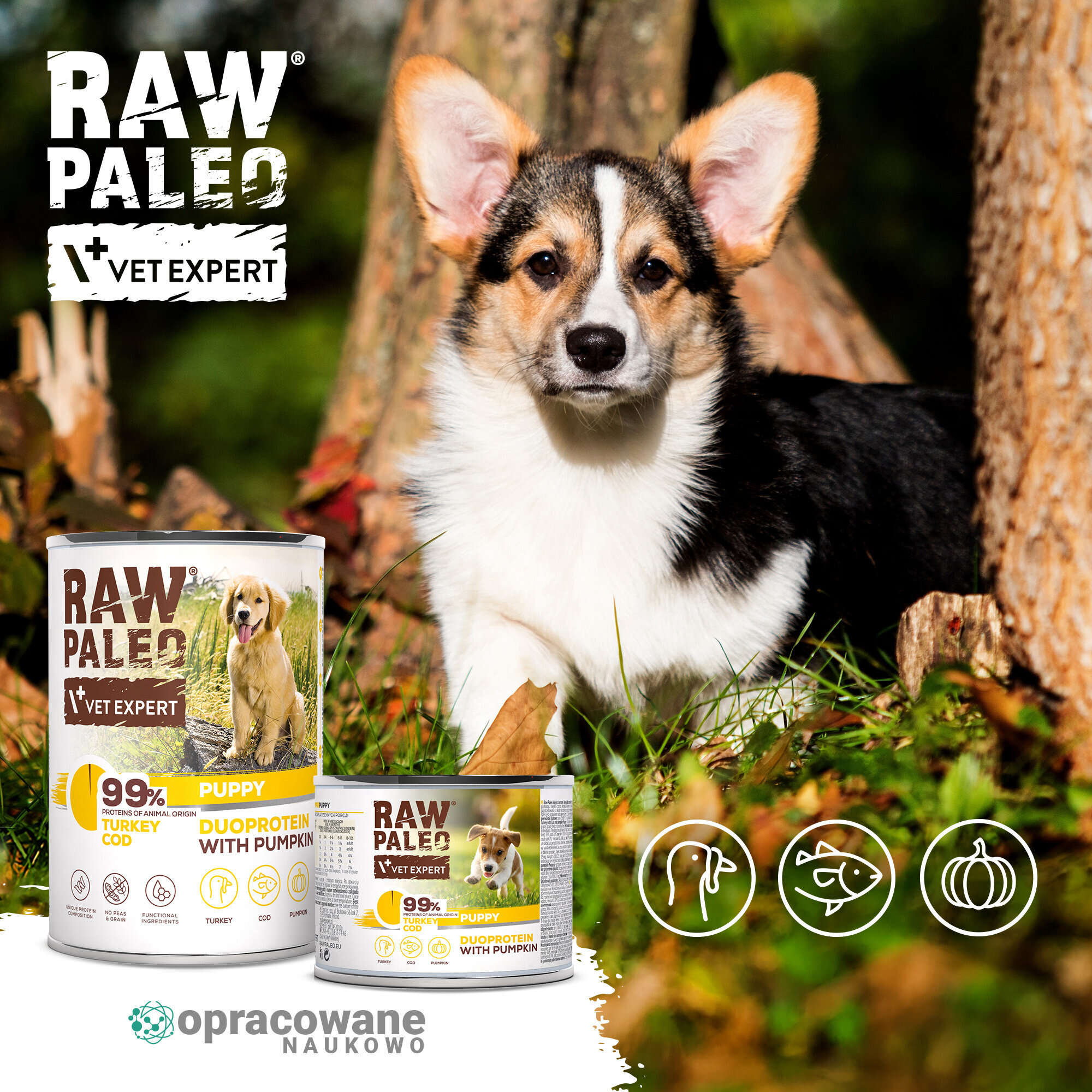 Na obrazie widoczny jest szczeniak obok dwóch puszek karmy RAW PALEO VET EXPERT. Na puszkach znajduje się tekst: \'99% TURKEY COD\', \'DUOPROTEIN WITH PUMPKIN\'.