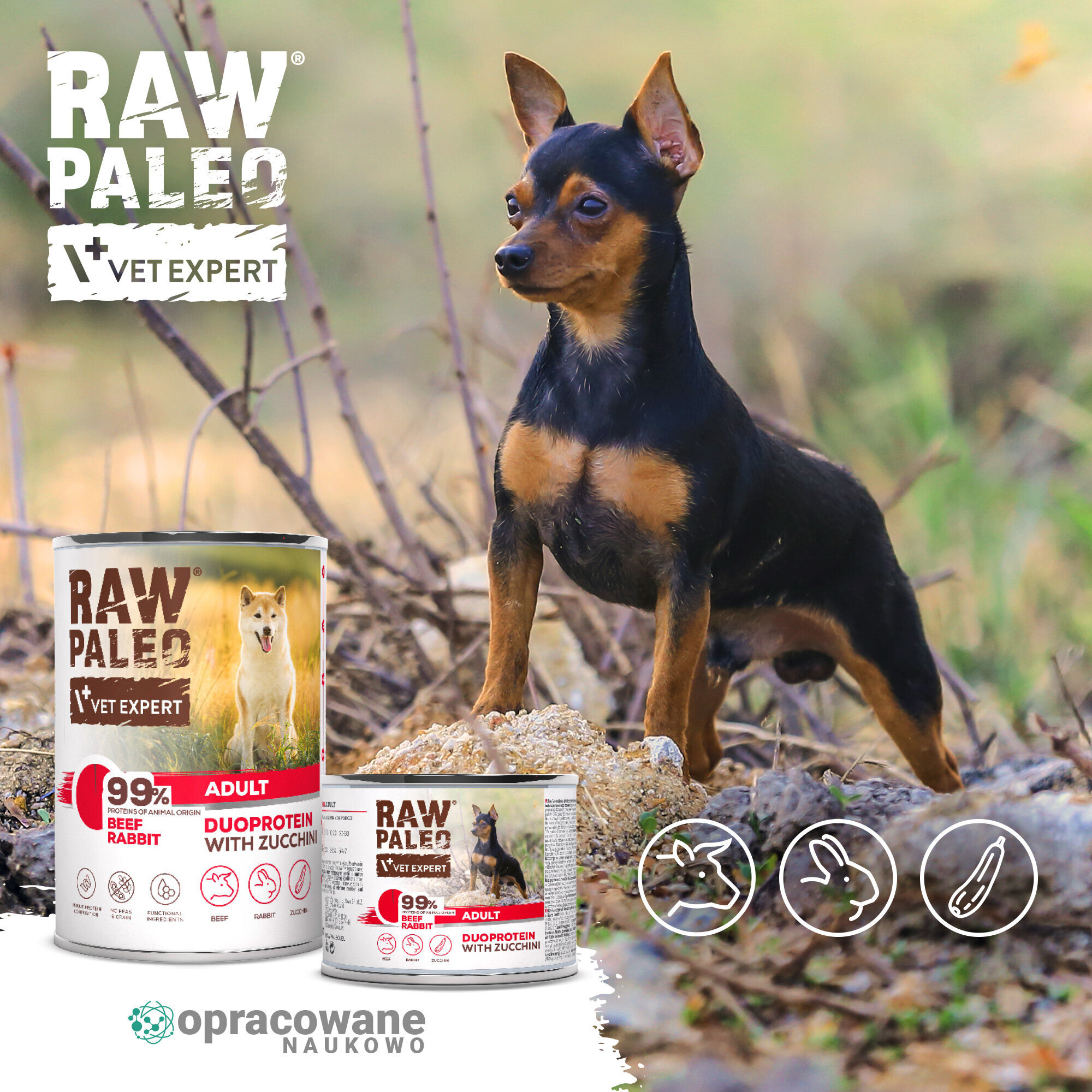 Na obrazie widoczny jest pies stojący na tle natury oraz dwie puszki karmy RAW PALEO z napisami: \'99% BEEF RABBIT\', \'ADULT\', \'DUOPROTEIN WITH ZUCCHINI\'. W tle znajdują się ikony przedstawiające składniki oraz logo \'opracowane naukowo\'.