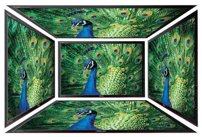 Monitor ASUS MX279HE - Szeroki Kąt Widzenia