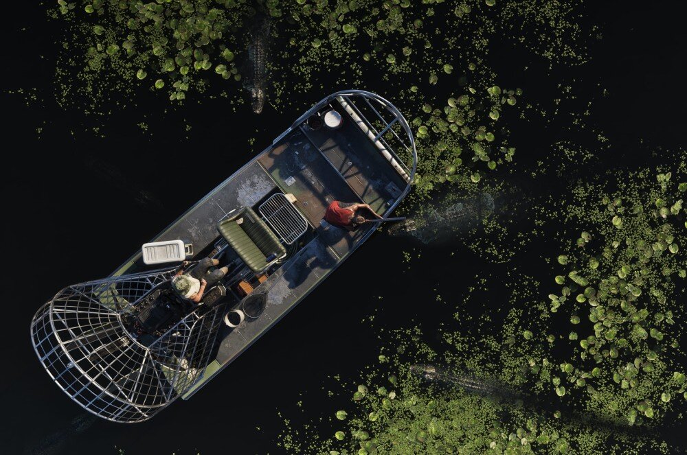 Grand Theft Auto VI Widok z góry na płaską łódź motorową płynącą po ciemnej wodzie porośniętej roślinnością, w której wokół łodzi pływają trzy duże aligatory