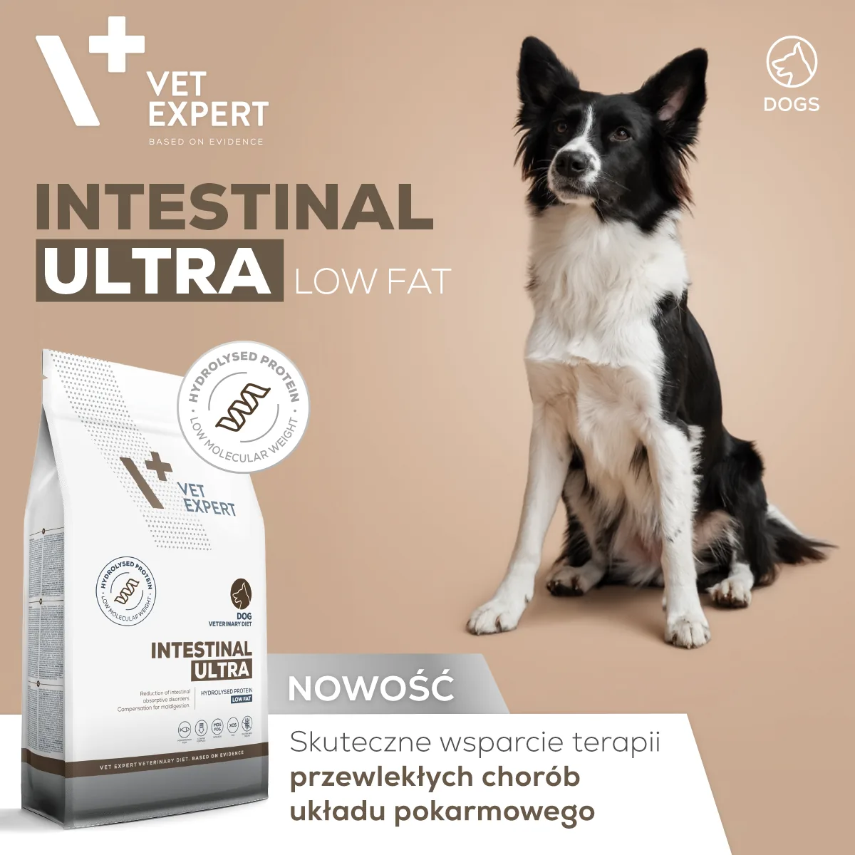 Obraz przedstawia psa siedzącego obok opakowania karmy Vet Expert Intestinal Ultra Low Fat. Na opakowaniu widnieje napis: \'HYDROLYSED PROTEIN LOW MOLECULAR WEIGHT\', a obok znajduje się tekst: \'NOWOŚĆ Skuteczne wsparcie terapii przewlekłych chorób układu pokarmowego\'.