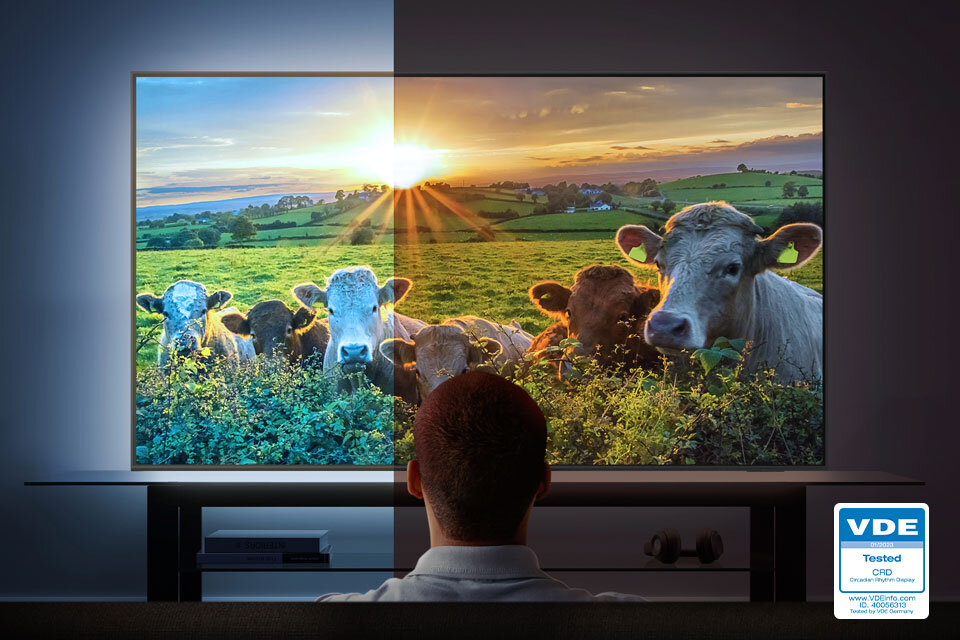 Osoba siedzi przed dużym telewizorem, na którym wyświetlany jest obraz krajobrazu z krowami i zachodzącym słońcem. W prawym dolnym rogu widoczne jest logo \'VDE Tested CPD\'.
