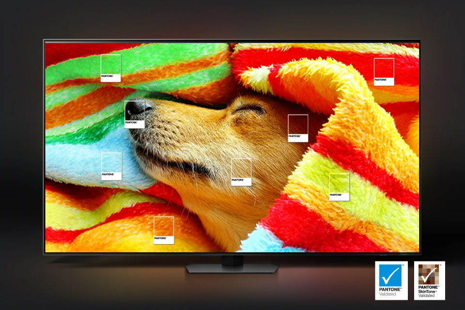 Telewizor wyświetla obraz psa owiniętego w kolorowy koc, z widocznymi oznaczeniami \'PANTONE\' w kilku miejscach. Na dole ekranu znajdują się dwa logotypy: \'PANTONE Validated\' i \'PANTONE SkinTone Validated\'.