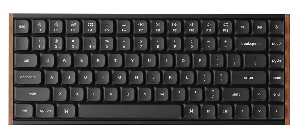 Klawiatura mechaniczna z czarnymi klawiszami, posiadająca układ QWERTY oraz dodatkowe klawisze funkcyjne od F1 do F12. Widoczne są klawisze takie jak \'esc\', \'enter\', \'shift\', \'ctrl\', \'option\', \'backspace\', \'pgup\', \'pgdn\', \'home\', \'end\'.